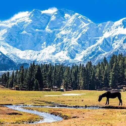 CHILAS