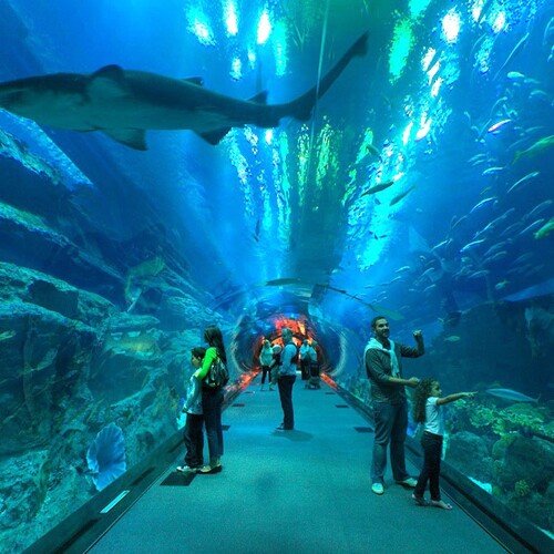 DUBAI UNDERWATER ZOO