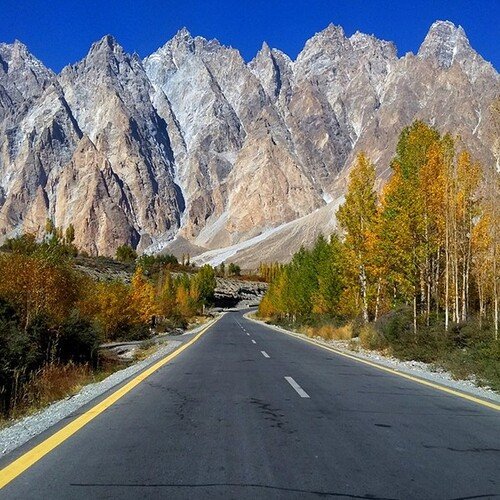 PASSU CONES