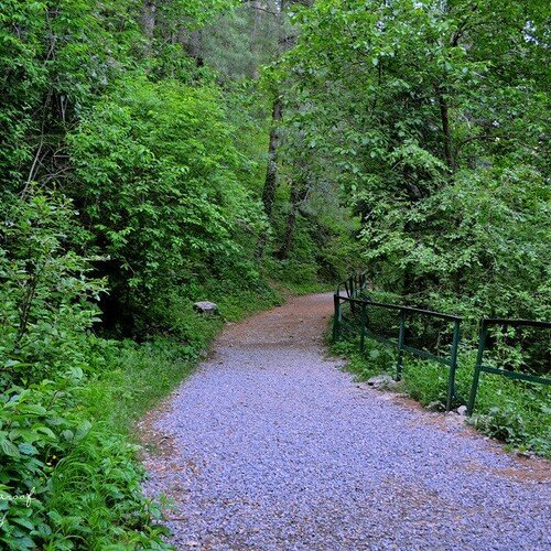 PIPELINE TRACK