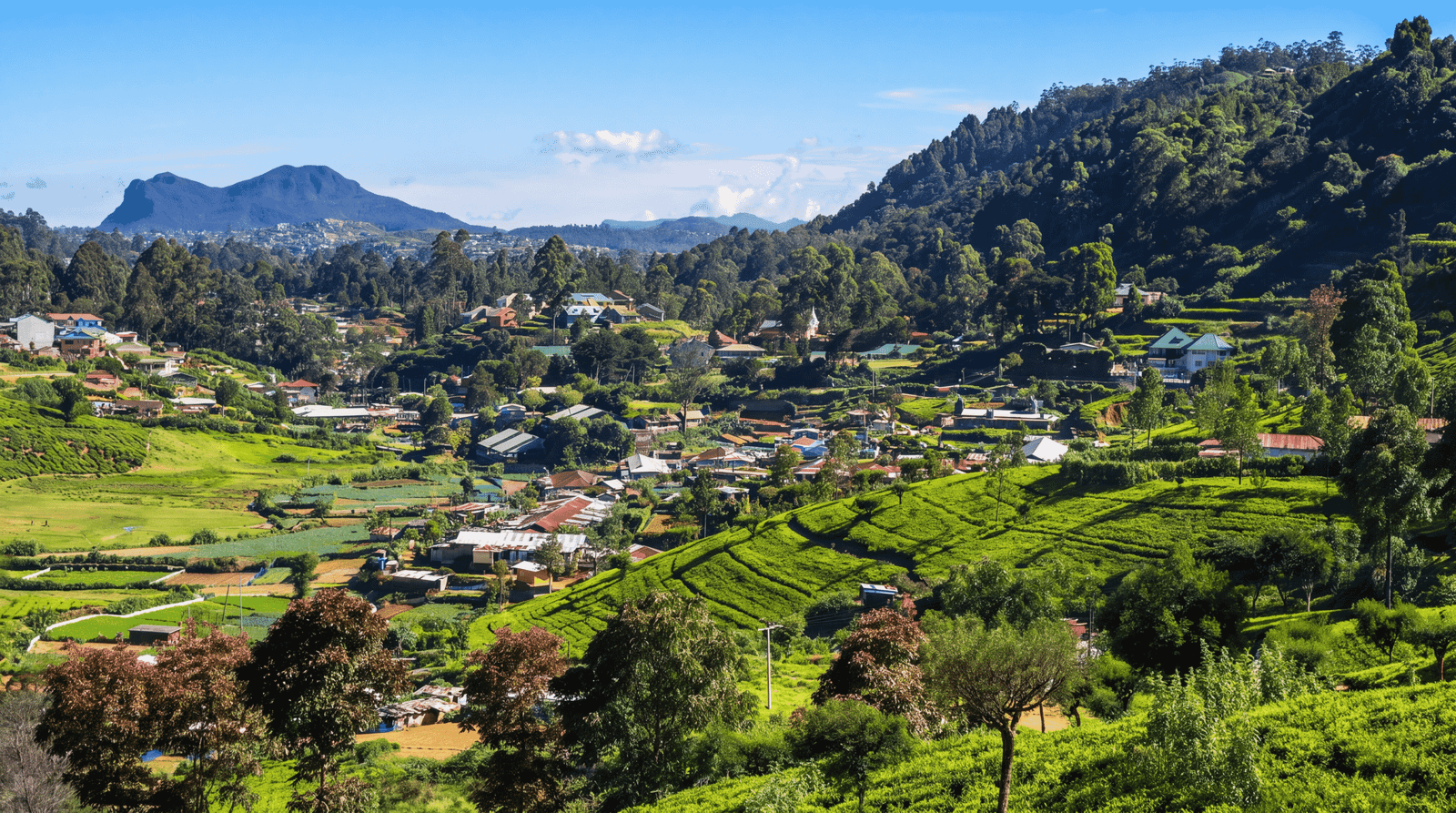Nuwara Eliya