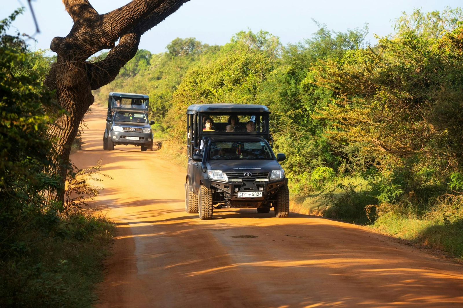 Yala National Park